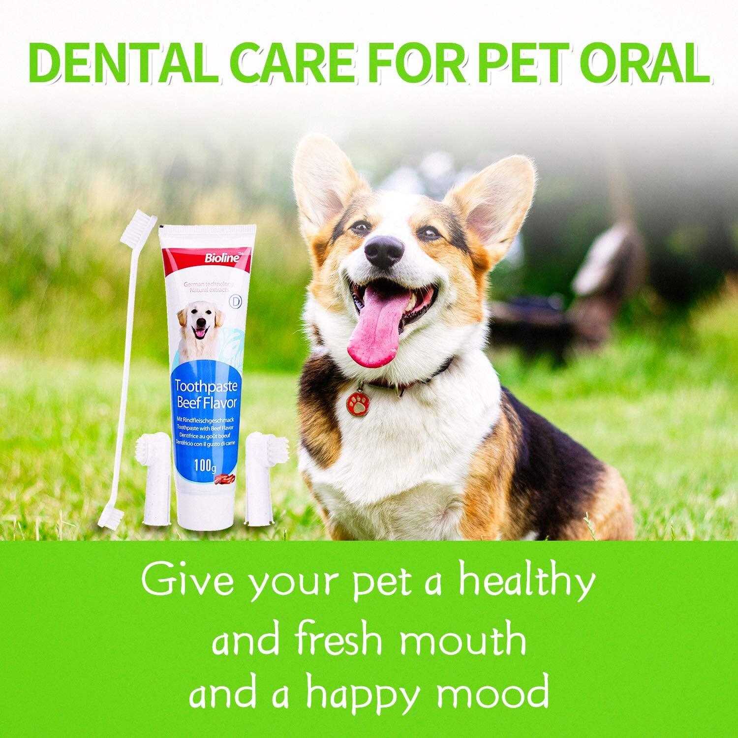 Bioline Oral Care Kit ชุดแปรงและยาสีฟันสุนัข สูตรควบคุมหินปูน มี 2