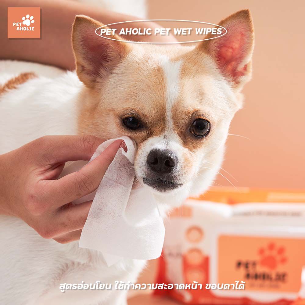 [2 แพ๊ค แถม 1] PET AHOLIC PET WET WIPES เพ็ท อะโฮลิค กระดาษทิชชู่เปียก