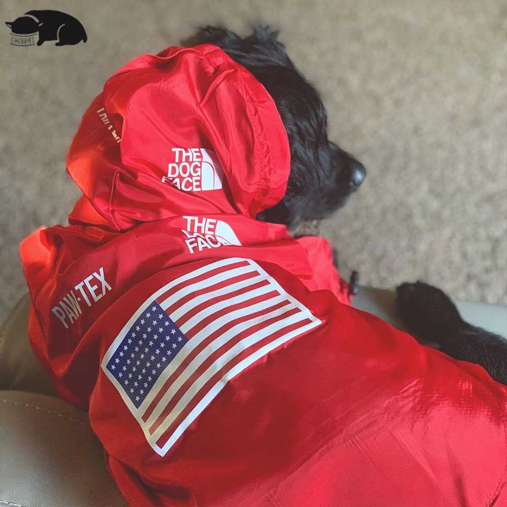 C164 TheDogFace PAWTEX Pupreme เสื้อกันฝนสุนัข กันเลอะ เสื้อฮูดสัตว์เลี้ยง เสื้อคลุมน้องหมา