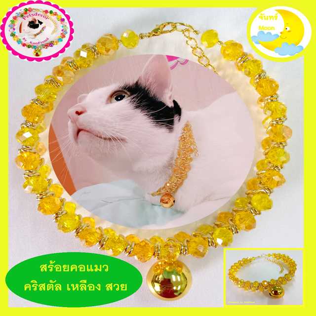 My Image 8