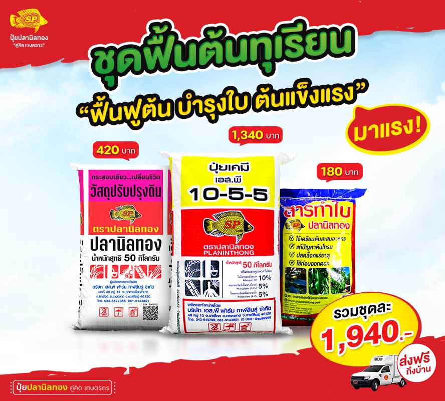 My Image 21