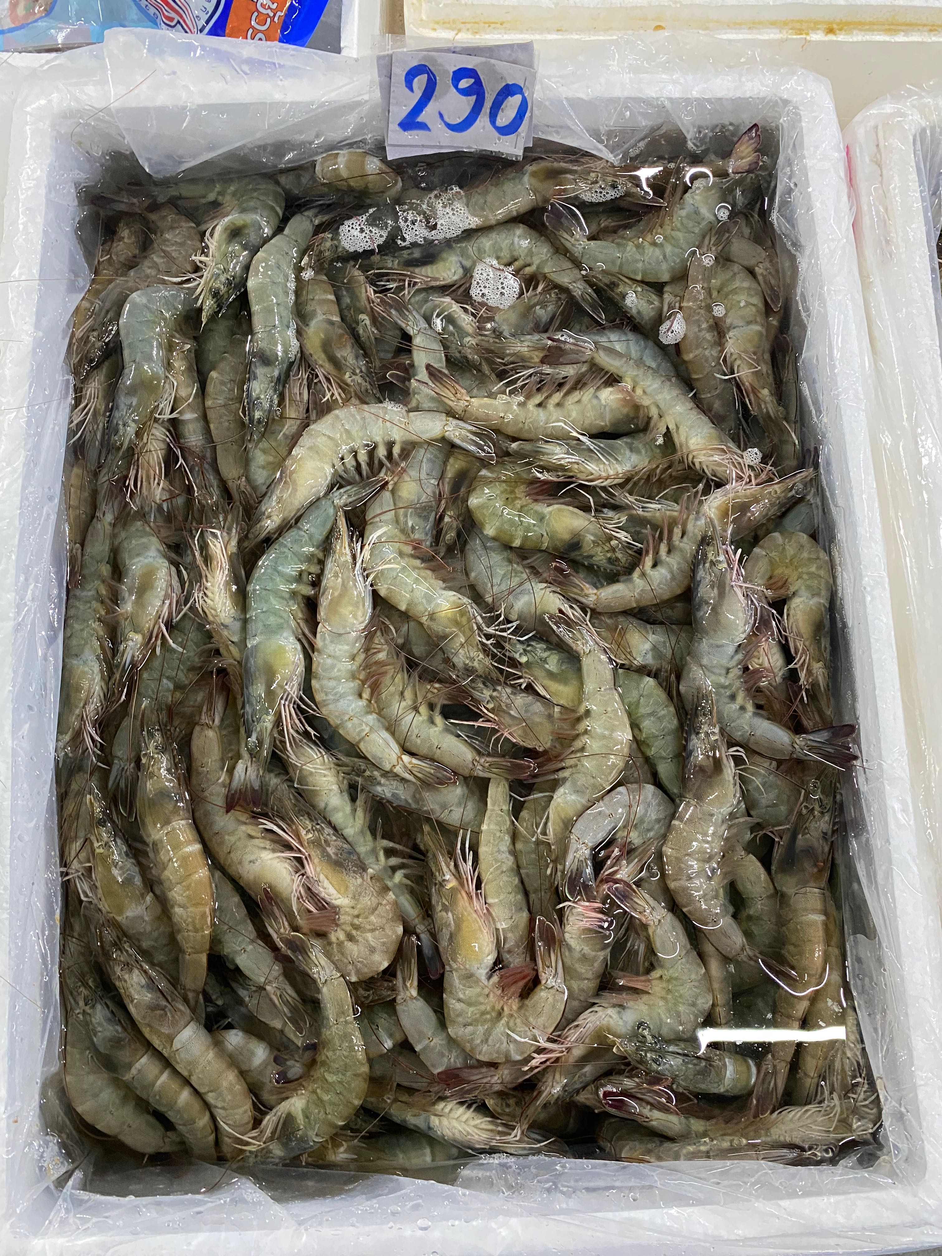 กุ้งขาวสด | LINE SHOPPING
