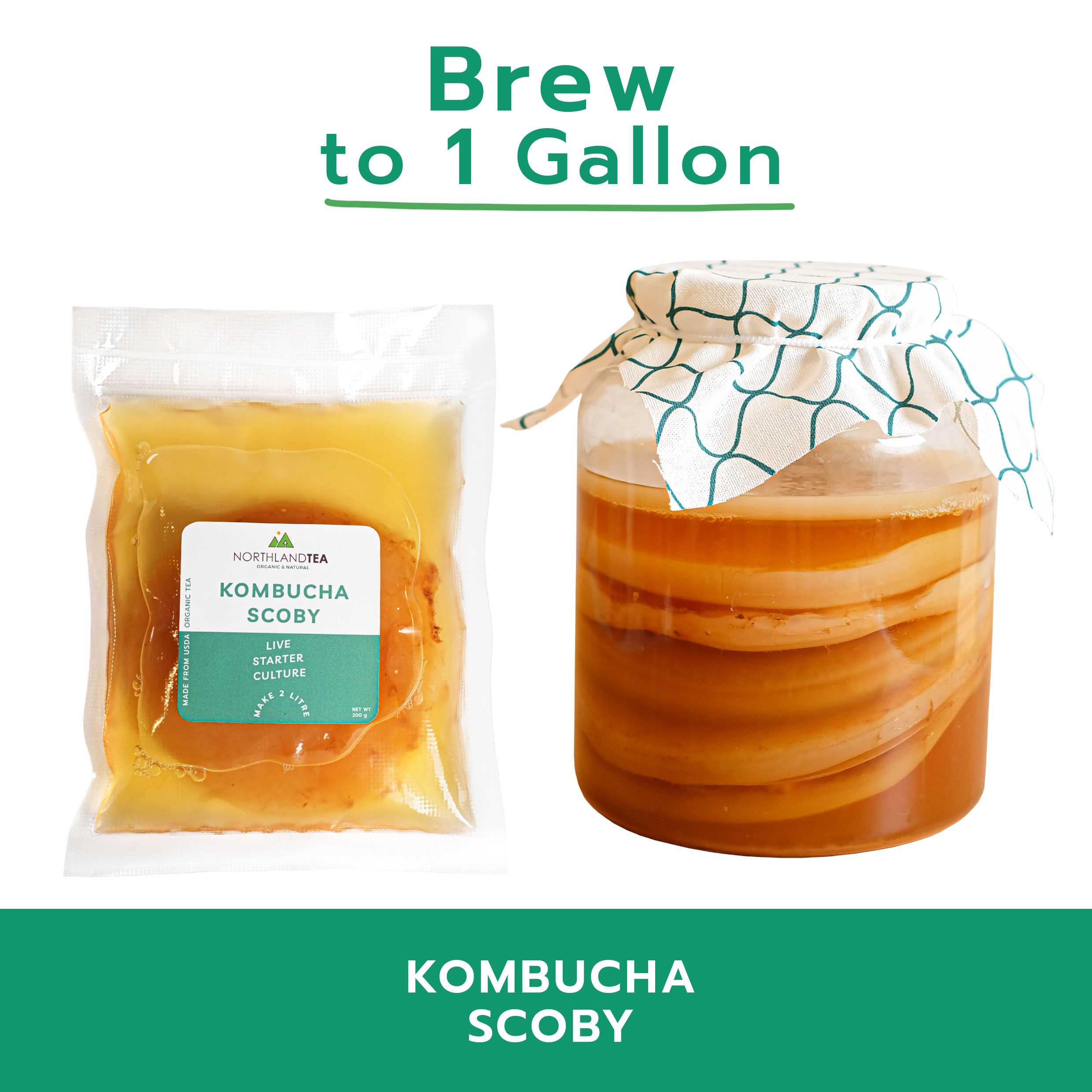 Organic Kombucha SCOBY & Culture Starter 200 ml LINE SHOPPING