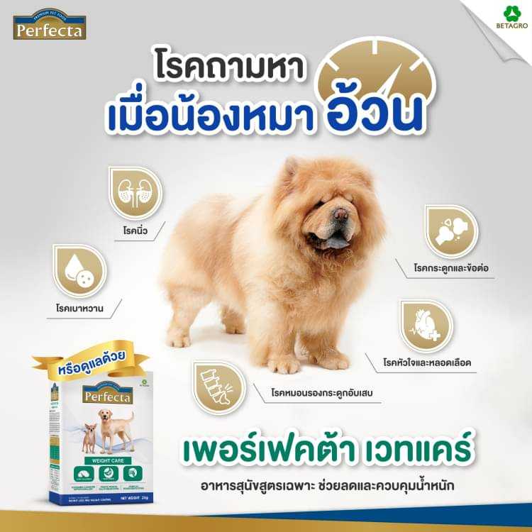 VET) เพอร์เฟคต้า อาหารสุนัข สูตรสุนัขป่วย 1.5 kg | LINE SHOPPING