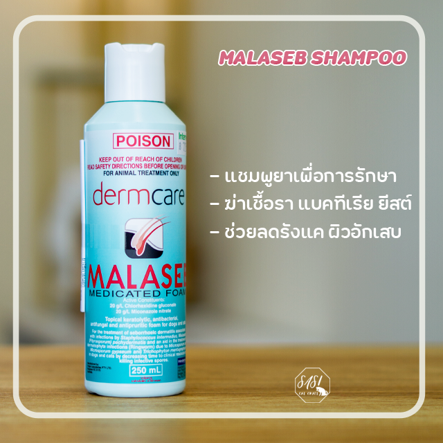 Malaseb Shampoo แชมพูยารักษาโรคผิวหนังในแมว LINE SHOPPING
