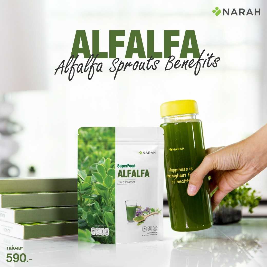 ALFALFA Juice Powder (น้ำอัลฟาฟ่าคั้นสดเข้มข้น ชนิดผง) ขนาด 30 กรัม
