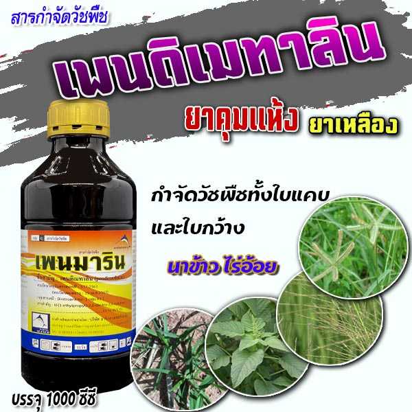 My Image 31