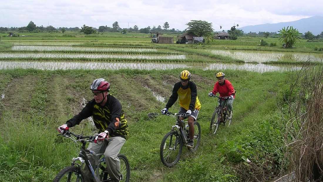 Rice Field Visions #7E