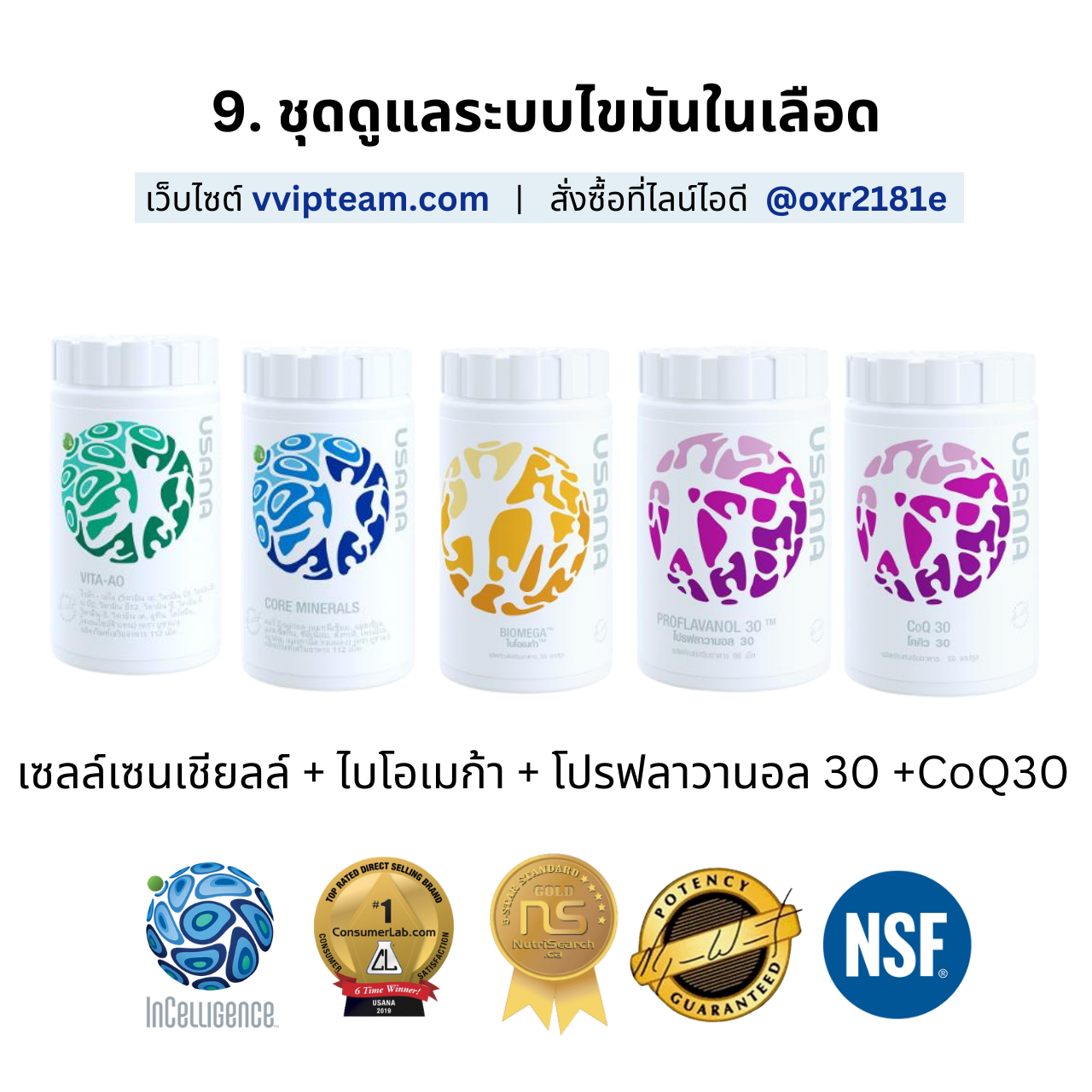My Image 11