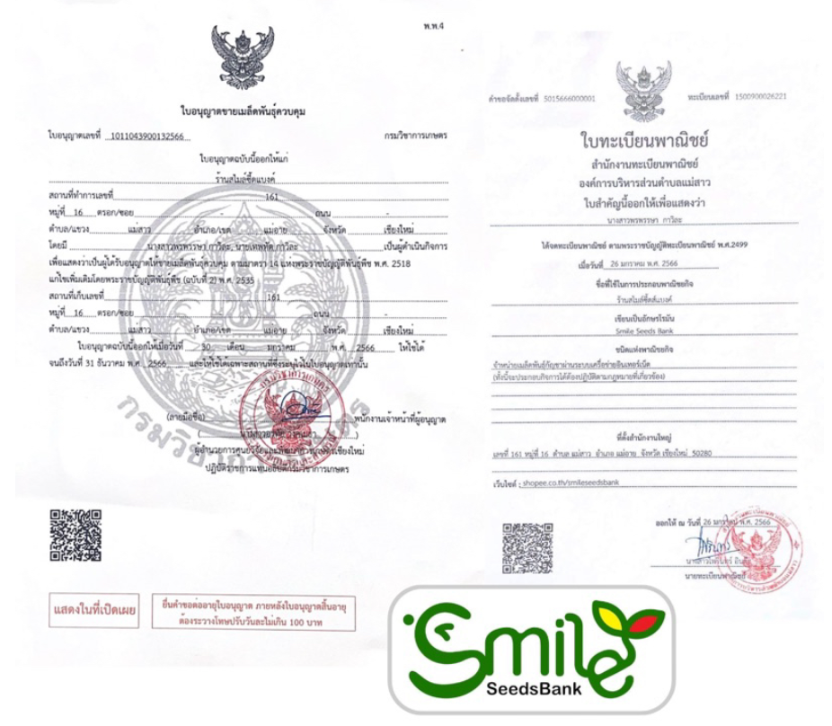 GG4 Sherbet FF Pack 1 LINE SHOPPING