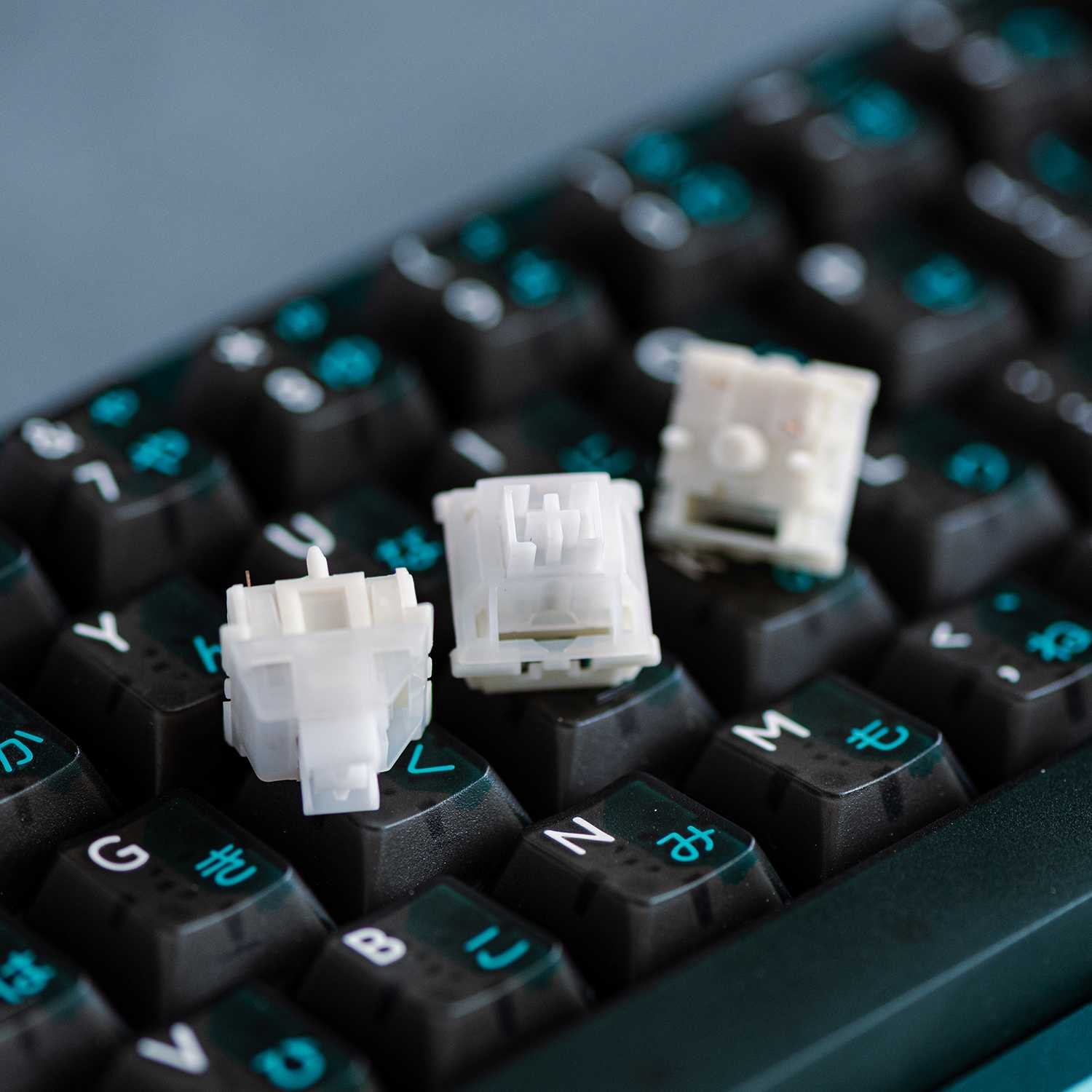 Keygeek Raw Switches ( x10 เม็ด ) [ Instock พร้อมส่ง ] LINE SHOPPING