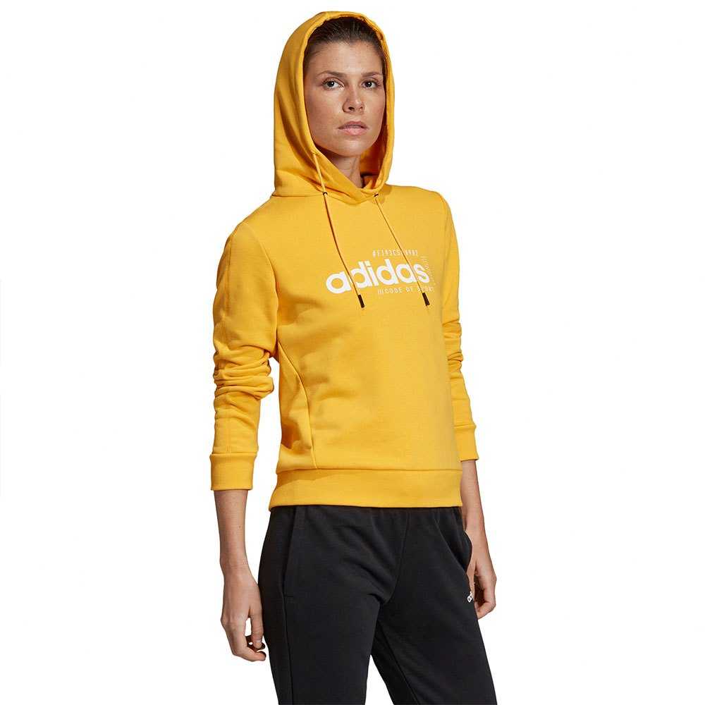 Brilliant basics online hoodie