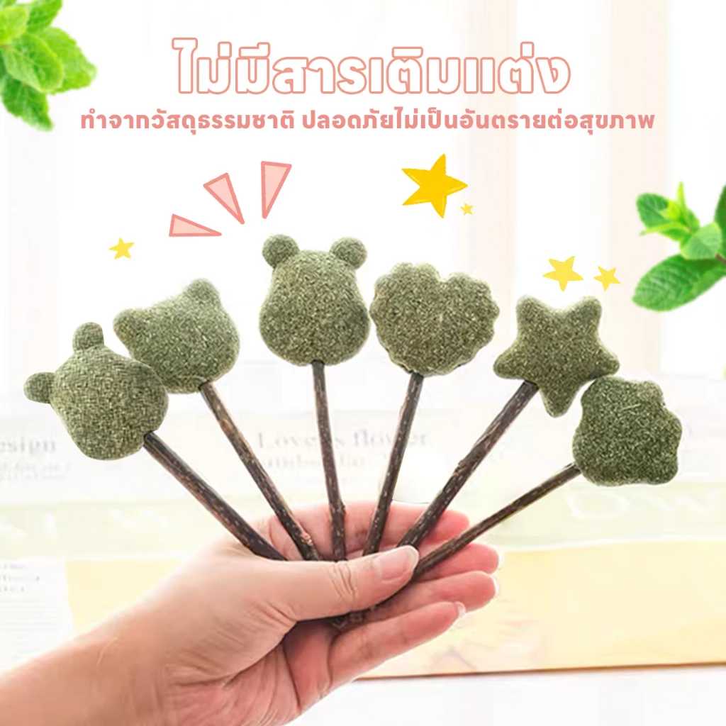Catnip Lollipop อมยิ้มกัญชาแมว 🐶😺 LINE SHOPPING