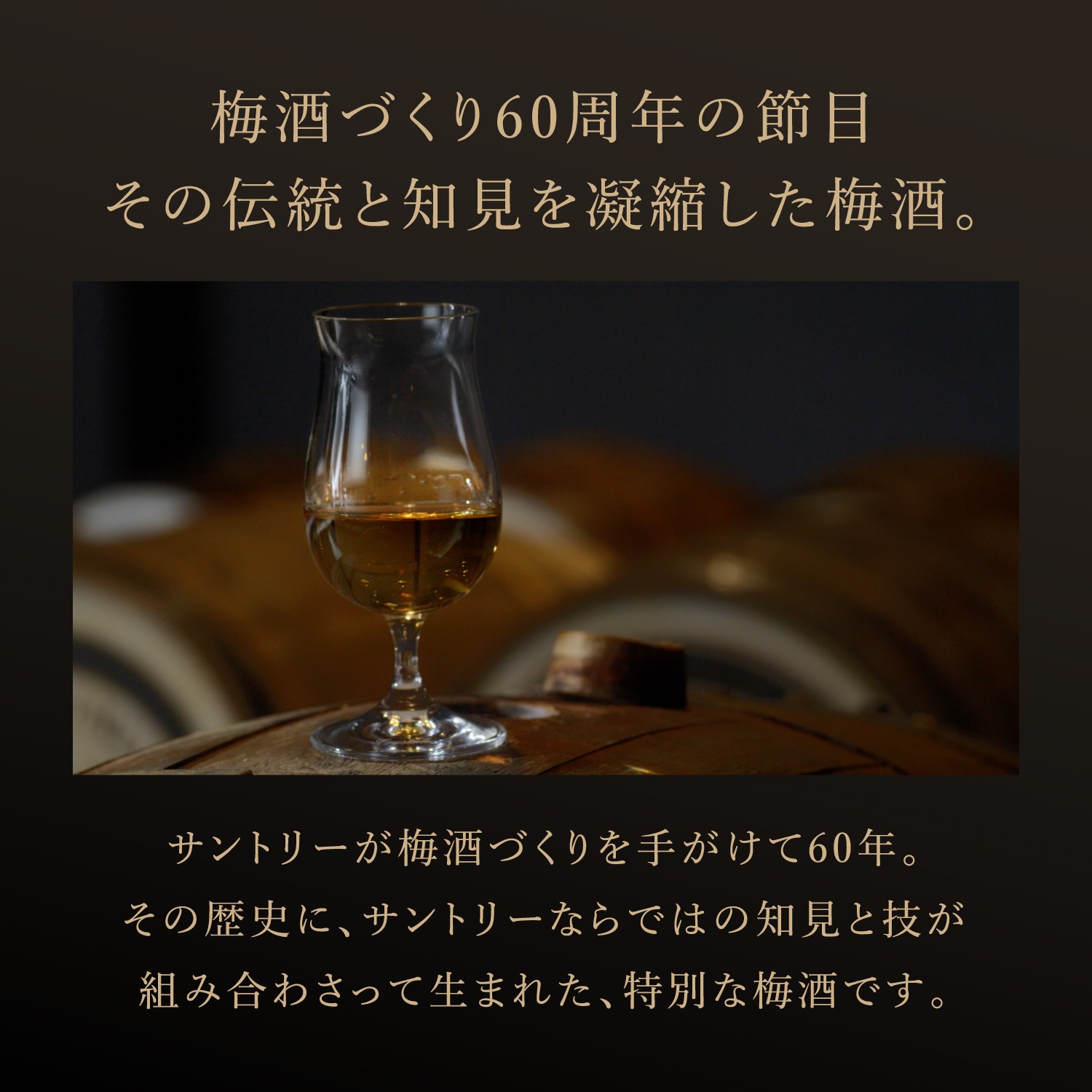 サントリー 山崎蒸溜所貯蔵梅酒 EXTRA BLEND 16度 700ml